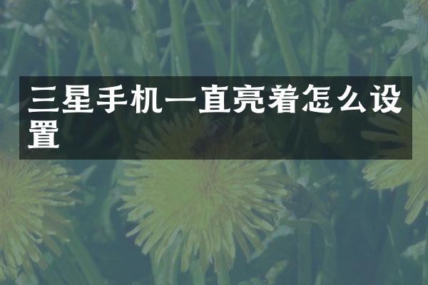 三星手机一直亮着怎么设置