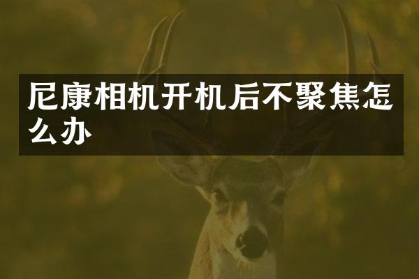 尼康相机开机后不聚焦怎么办