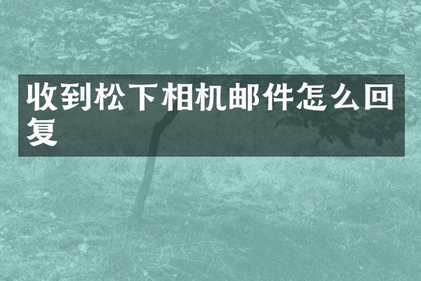 收到相机邮件怎么回复