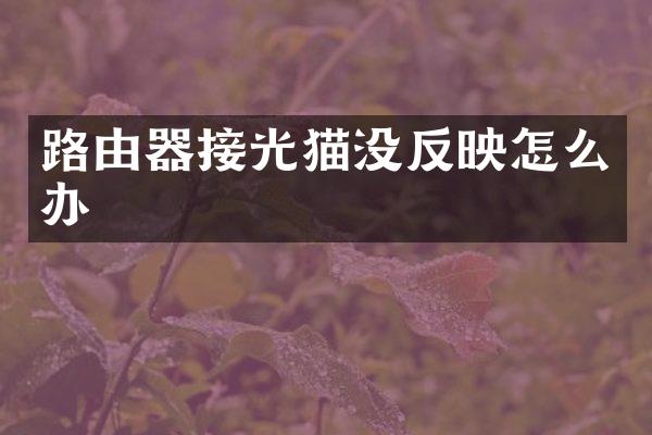 路由器接光猫没反映怎么办