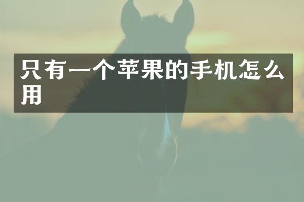 只有一个苹果的手机怎么用