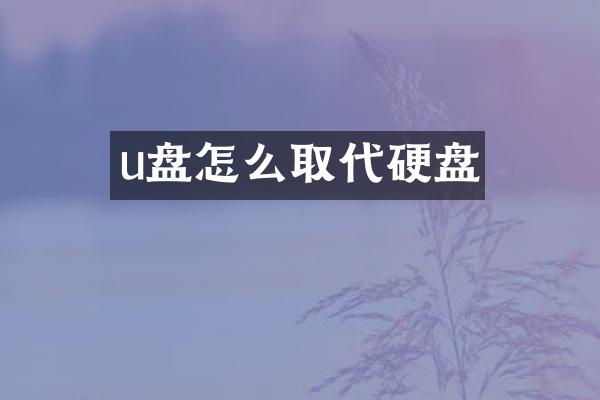 u盘怎么取代硬盘