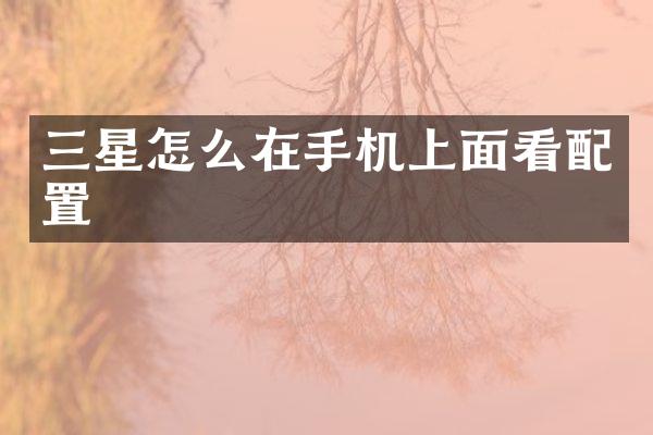 三星怎么在手机上面看配置