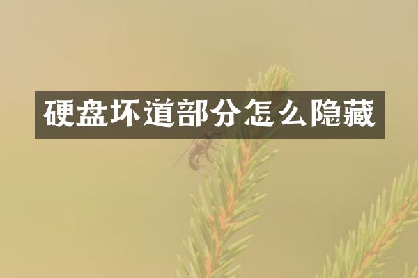 硬盘坏道部分怎么隐藏