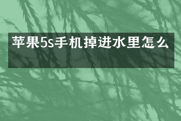 苹果5s手机掉进水里怎么办