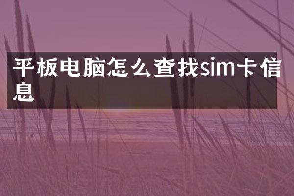 平板电脑怎么查找sim卡信息