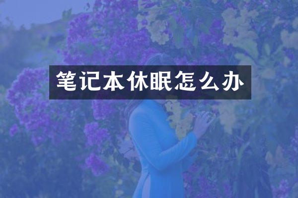 笔记本休眠怎么办