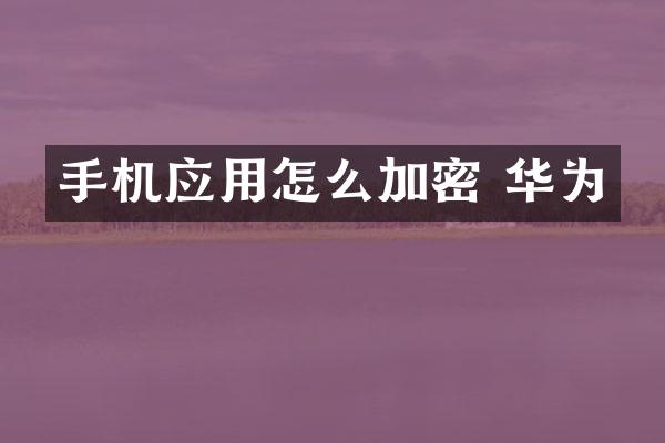 手机应用怎么加密 华为