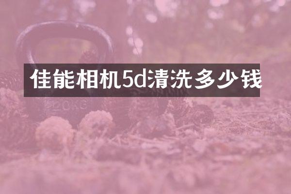 佳能相机5d清洗多少钱