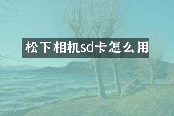 相机sd卡怎么用
