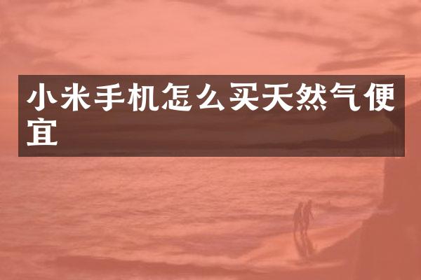 小米手机怎么买天然气便宜