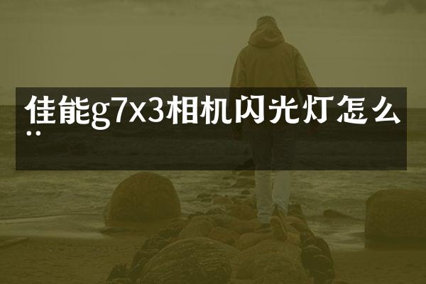 佳能g7x3相机闪光灯怎么用