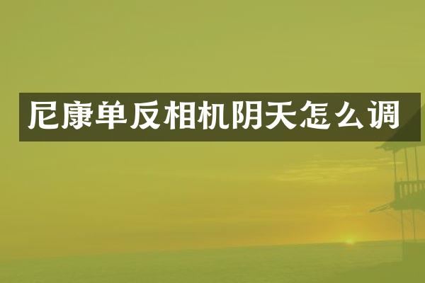 尼康单反相机阴天怎么调