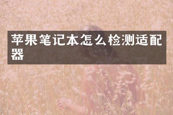 苹果笔记本怎么检测适配器