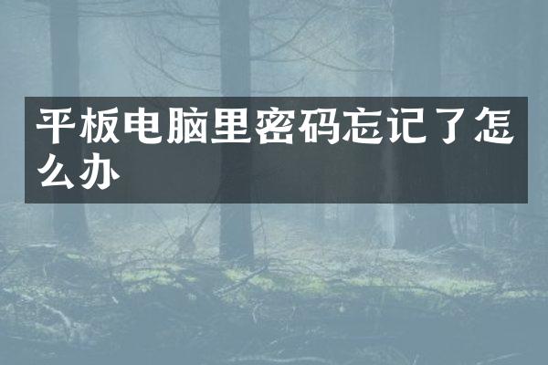平板电脑里密码忘记了怎么办