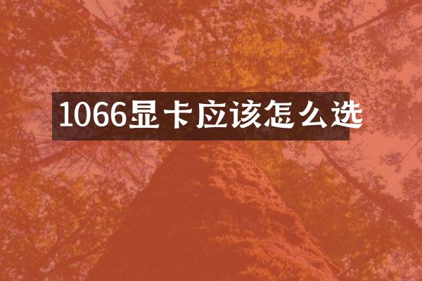 1066显卡应该怎么选