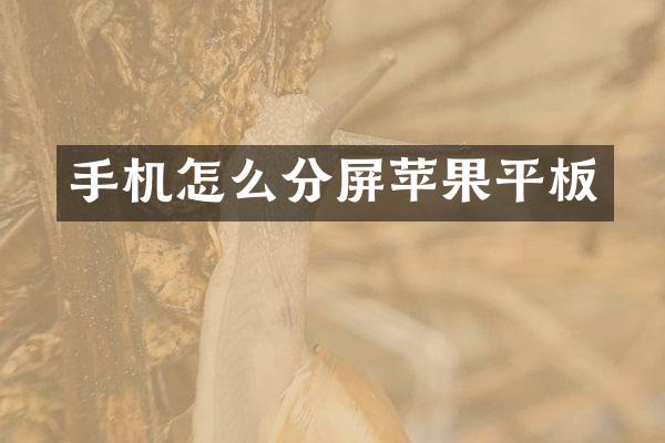 手机怎么分屏苹果平板