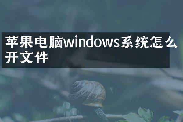 苹果电脑windows系统怎么打开文件