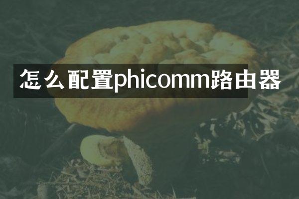 怎么配置phicomm路由器