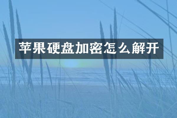 苹果硬盘加密怎么解开