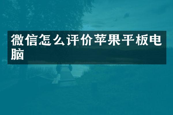 微信怎么评价苹果平板电脑