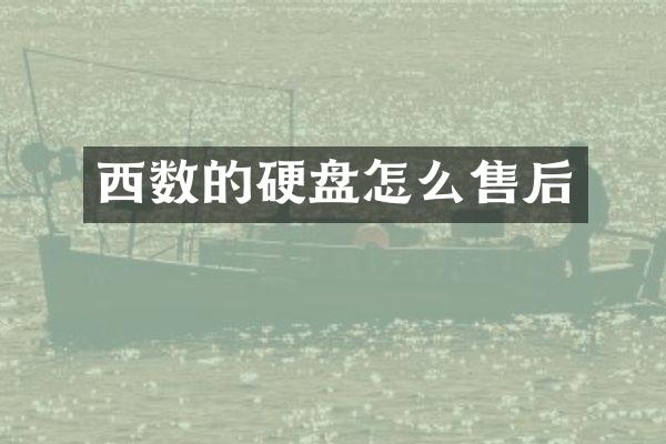 西数的硬盘怎么售后