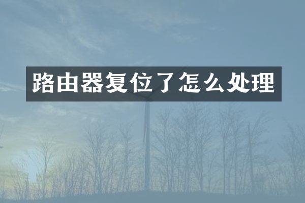 路由器复位了怎么处理