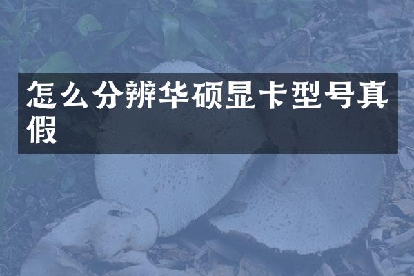 怎么分辨华硕显卡型号真假