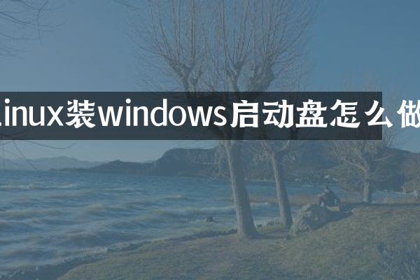 linux装windows启动盘怎么做