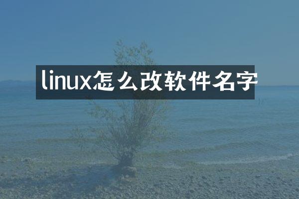 linux怎么改软件名字