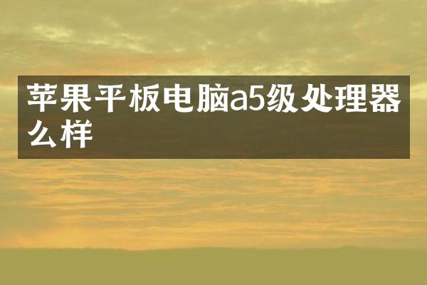 苹果平板电脑a5级处理器怎么样