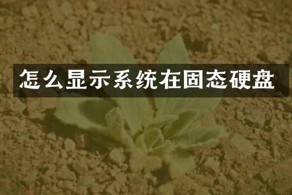 怎么显示系统在固态硬盘
