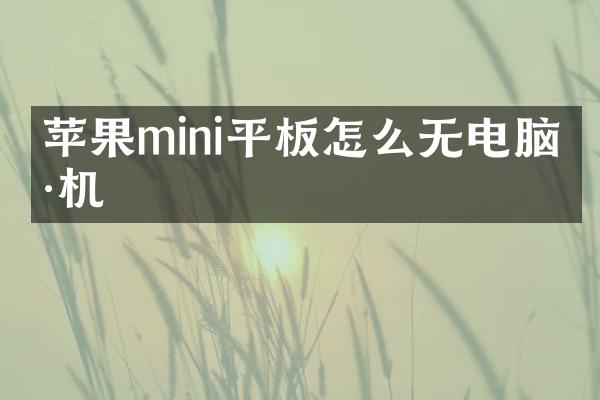 苹果mini平板怎么无电脑刷机