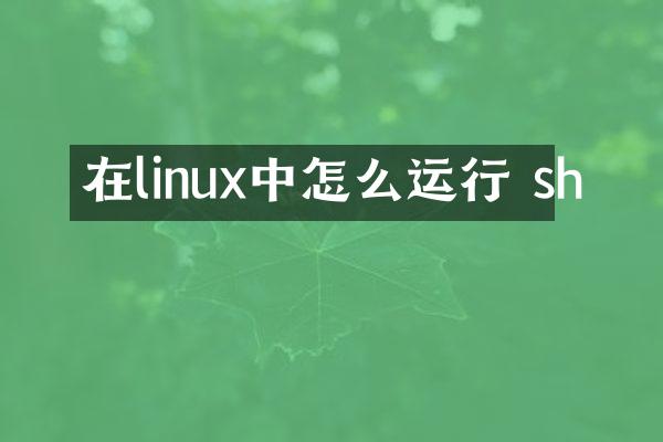 在linux中怎么运行 sh