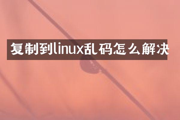 复制到linux乱码怎么解决