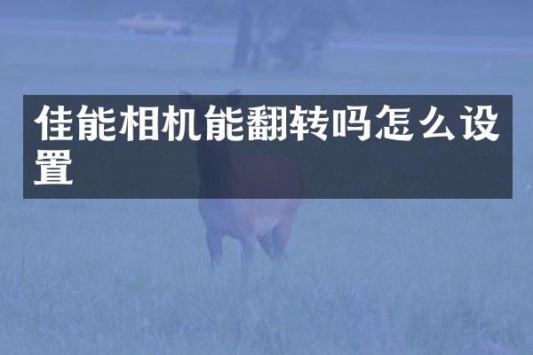 佳能相机能翻转吗怎么设置