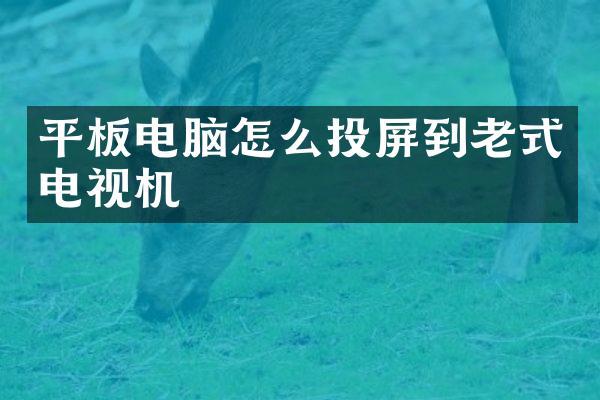 平板电脑怎么投屏到老式电视机