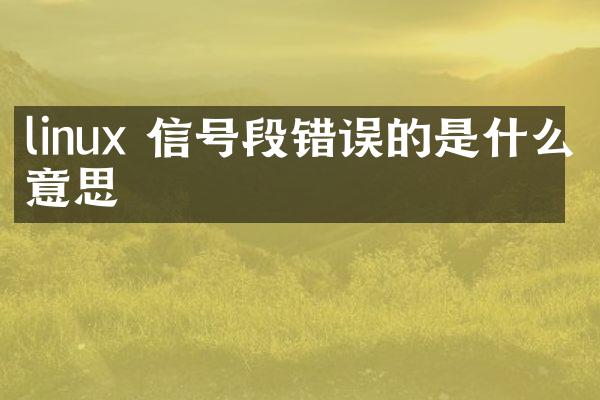 linux 信号段错误的是什么意思