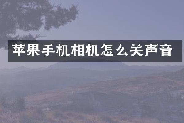 苹果手机相机怎么关声音