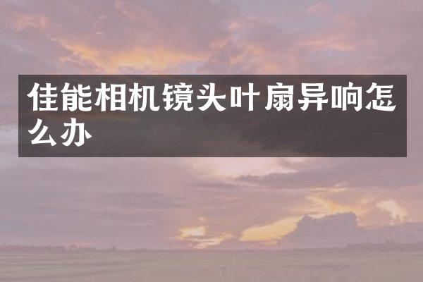 佳能相机镜头叶扇异响怎么办
