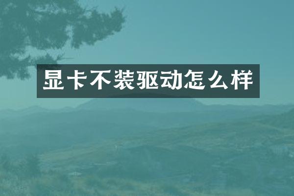 显卡不装驱动怎么样