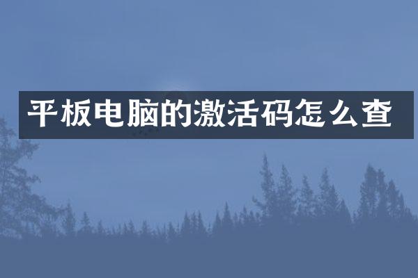 平板电脑的激活码怎么查