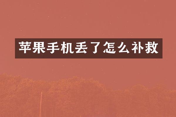苹果手机丢了怎么补救