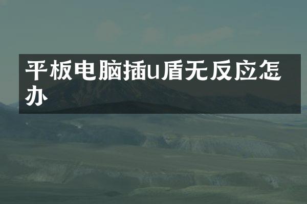 平板电脑插u盾无反应怎么办