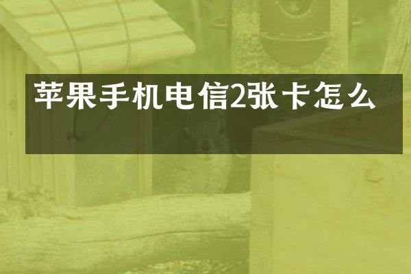 苹果手机电信2张卡怎么办