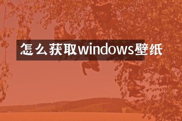 怎么获取windows壁纸