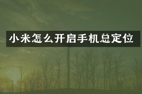 小米怎么开启手机总定位