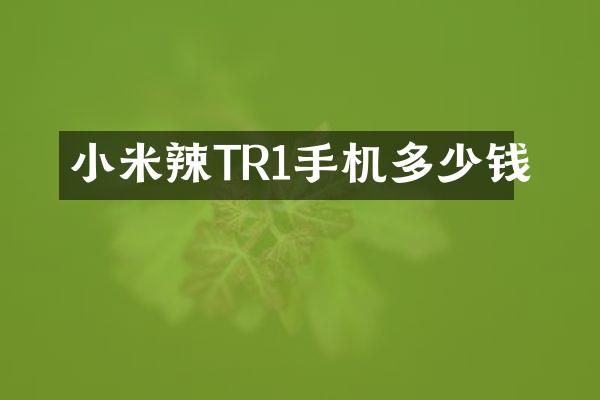 小米辣TR1手机多少钱