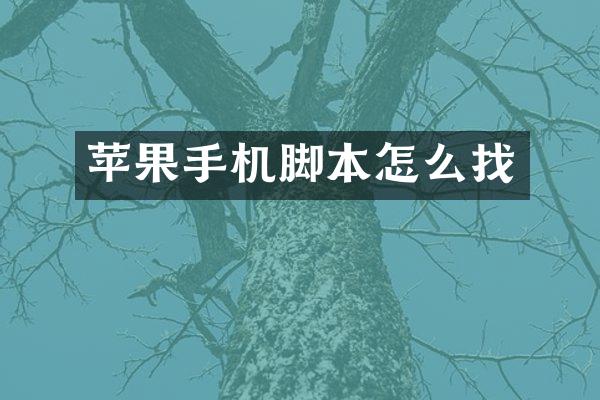 苹果手机脚本怎么找