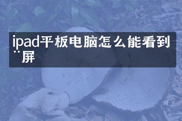 ipad平板电脑怎么能看到全屏
